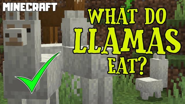 ¿Qué comen las llamas en Minecraft? Guía completa de los hábitos ...