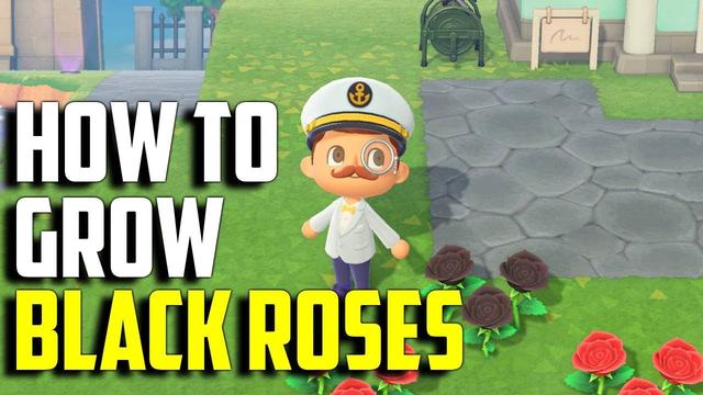 learn-how-to-create-black-roses-in-animal-crossing