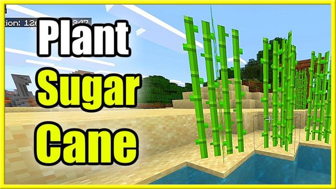 como plantar cana minecraft