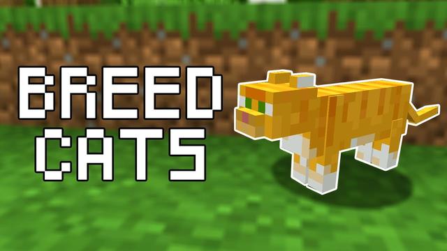 learn-how-to-breed-cats-in-minecraft-step-by-step-guide