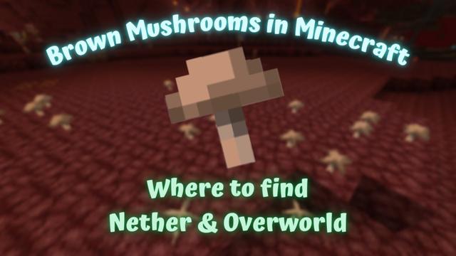 Where To Find Brown Mushrooms In Minecraft A Comprehensive Guide 